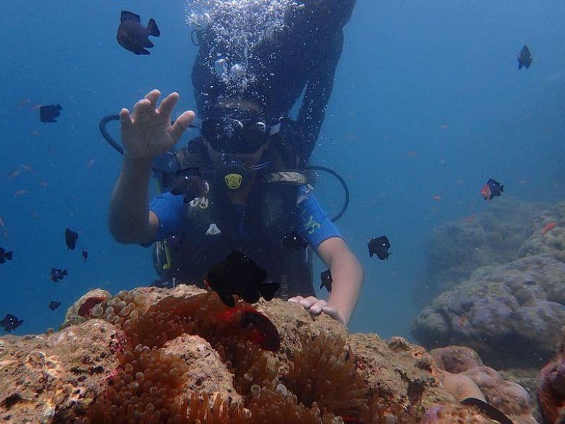 Andaman Tour