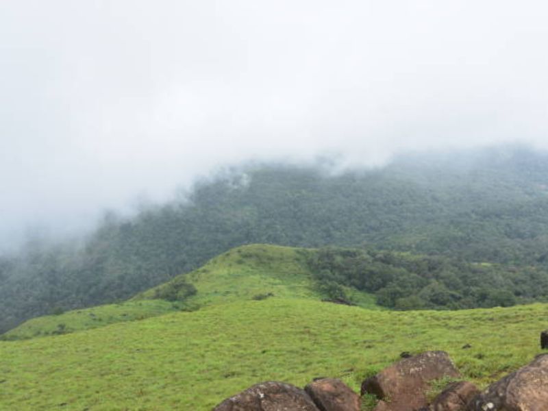 The Ridge Point in Karnataka: A Unique Geographical Landmark at Mankanahalli, Sakleshpur