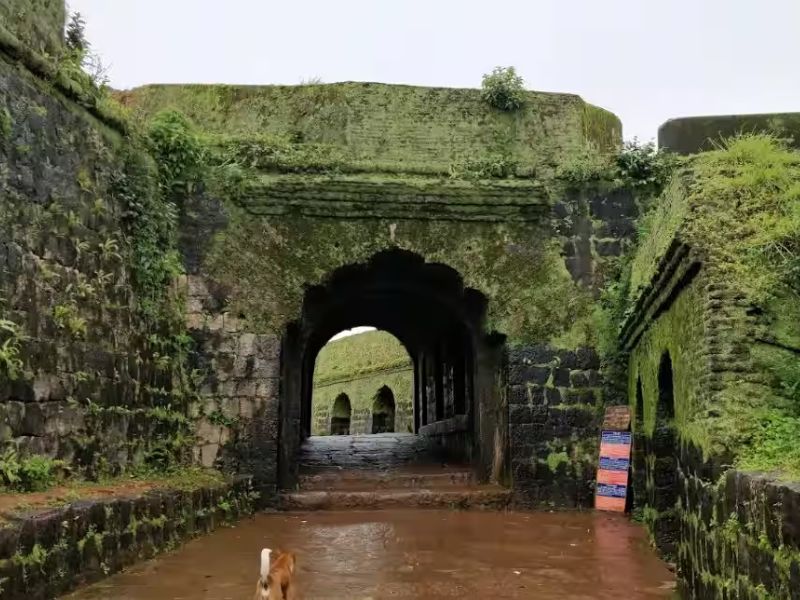 The Ridge Point in Karnataka: A Unique Geographical Landmark at Mankanahalli, Sakleshpur