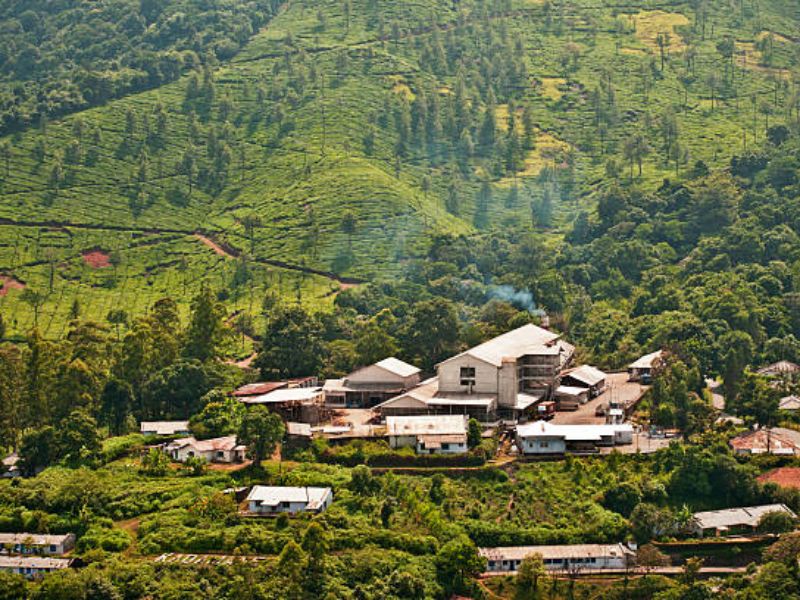 The Ridge Point in Karnataka: A Unique Geographical Landmark at Mankanahalli, Sakleshpur